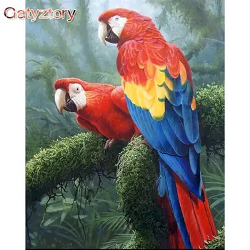 GATYZTORY צבע שמן לפי מספרים ערכות תוכים נוף ציור לפי מספרים על בד חיות Frameless 60x75cm DIY לצייר ציור